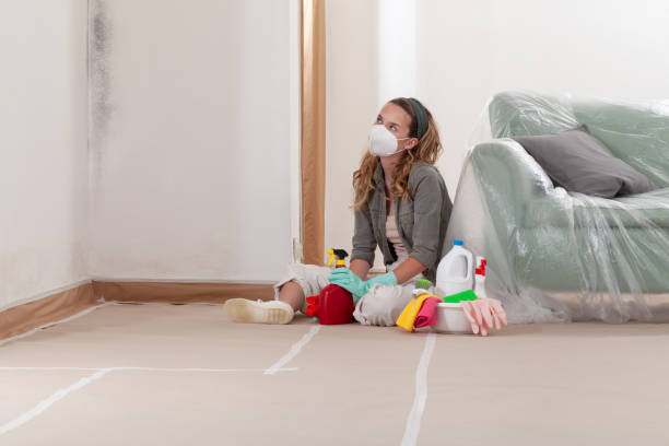 Reliable Mold Cleanup contractor in Hudson, MI by Cheap Mold Removal